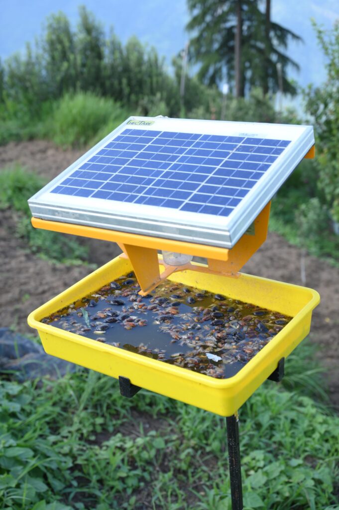 solar insect trap